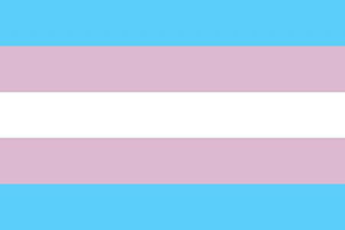 Trans* wiki.png